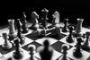 The Art of Strategy—A Rough Guide to Leadership Models and Theories