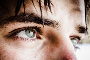 Leadership As a Lens—A Rough Guide to Leadership Models and Theories