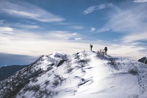 Isn't It Time You Hired Project Leaders?