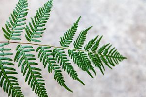 Is It Time to Lead Imperfect Change?
