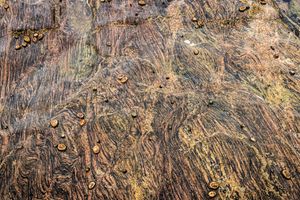 How to Recognize the Signs of Cognitive Resistance to Change